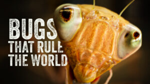 BugsThatRuleTheWorld_Thumbnail_1920x1080_v2_a (1)