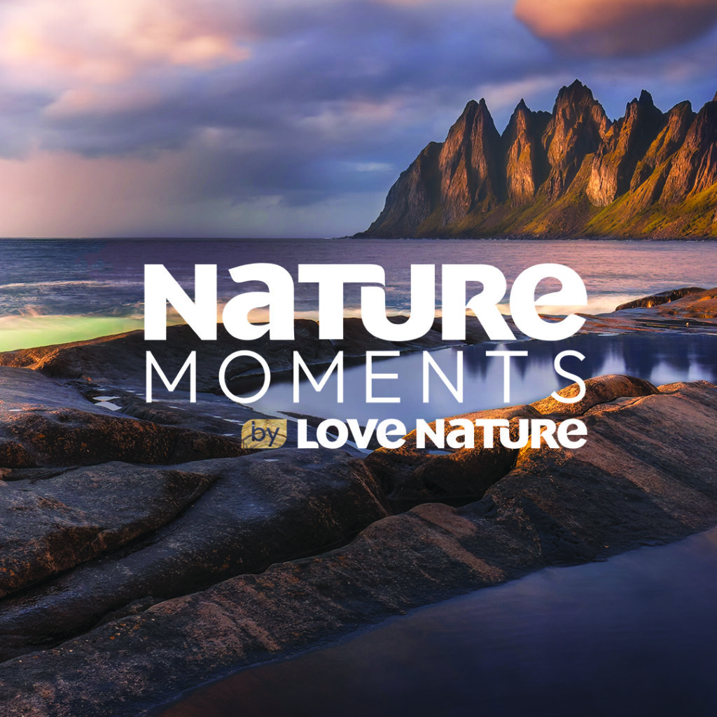 NatureMomentsTile2