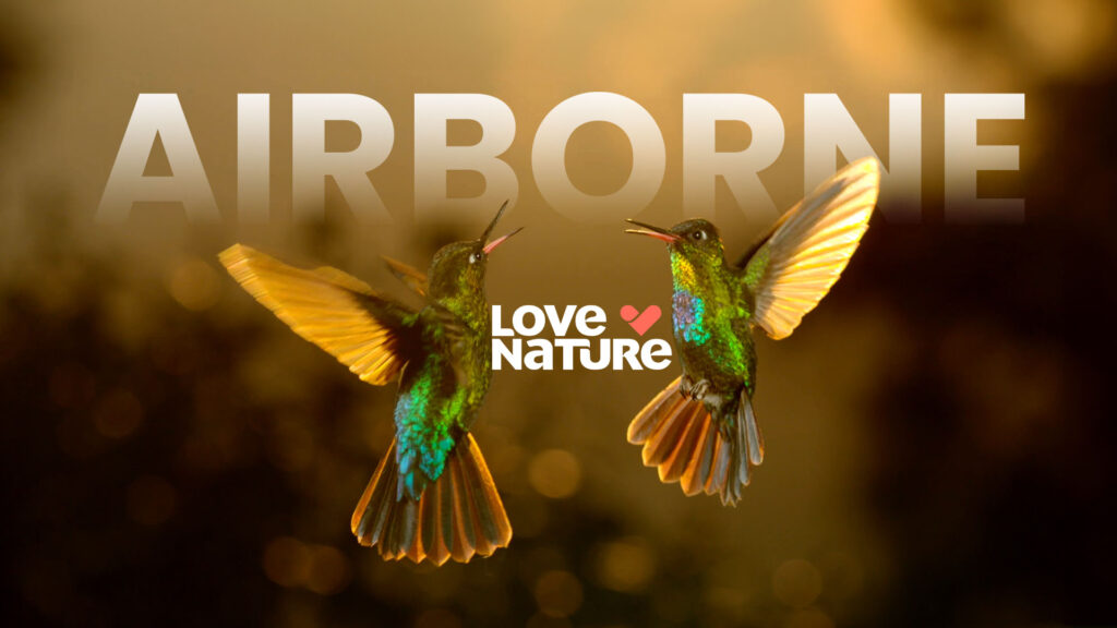 Airborne_LoveNature_Updated