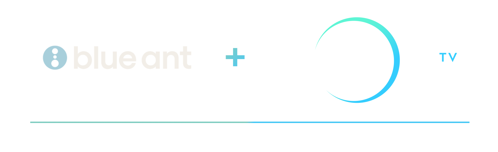 LogoLockup