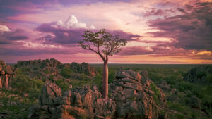 TheKimberley_KeyArt_clean